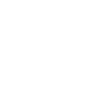 all fairs 3